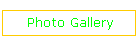 Photo Gallery